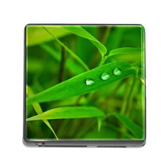 Bamboo Leaf With Drops Memory Card Reader With Storage (square) by Siebenhuehner