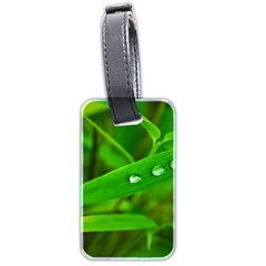 Bamboo Leaf With Drops Luggage Tag (two Sides) by Siebenhuehner