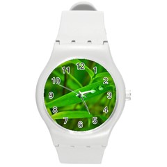 Bamboo Leaf With Drops Plastic Sport Watch (medium) by Siebenhuehner