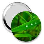 Bamboo Leaf With Drops 3  Handbag Mirror Front