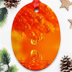 Waterdrops Oval Ornament