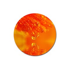 Waterdrops Magnet 3  (round) by Siebenhuehner