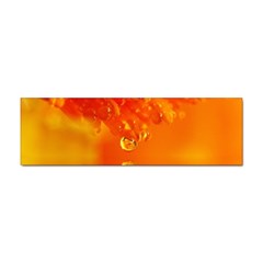 Waterdrops Bumper Sticker 10 Pack by Siebenhuehner