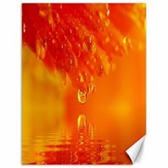 Waterdrops Canvas 12  x 16  (Unframed)