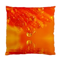 Waterdrops Cushion Case (Two Sided) 