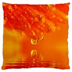 Waterdrops Large Cushion Case (Single Sided)  Front