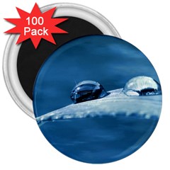 Drops 3  Button Magnet (100 Pack) by Siebenhuehner