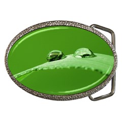 Waterdrops Belt Buckle (oval) by Siebenhuehner