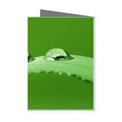 Waterdrops Mini Greeting Card (8 Pack) by Siebenhuehner