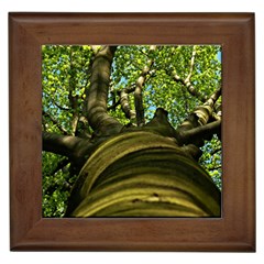 Tree Framed Ceramic Tile by Siebenhuehner