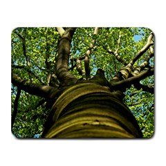 Tree Small Mouse Pad (rectangle) by Siebenhuehner