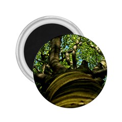 Tree 2 25  Button Magnet by Siebenhuehner