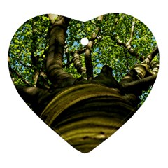 Tree Heart Ornament by Siebenhuehner