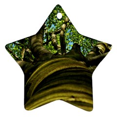 Tree Star Ornament by Siebenhuehner