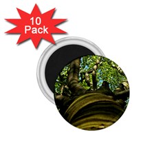 Tree 1 75  Button Magnet (10 Pack) by Siebenhuehner