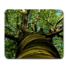 Tree Large Mouse Pad (rectangle) by Siebenhuehner