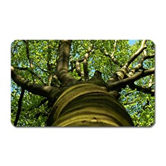 Tree Magnet (rectangular) by Siebenhuehner