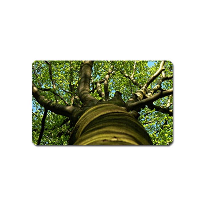 Tree Magnet (Name Card)