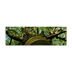 Tree Bumper Sticker 100 Pack by Siebenhuehner