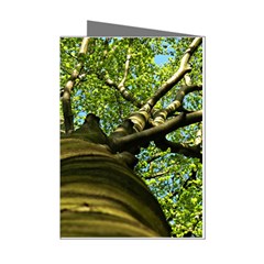 Tree Mini Greeting Card (8 Pack) by Siebenhuehner