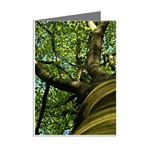 Tree Mini Greeting Card (8 Pack) Right