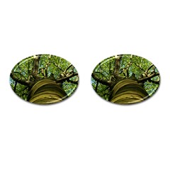 Tree Cufflinks (oval) by Siebenhuehner