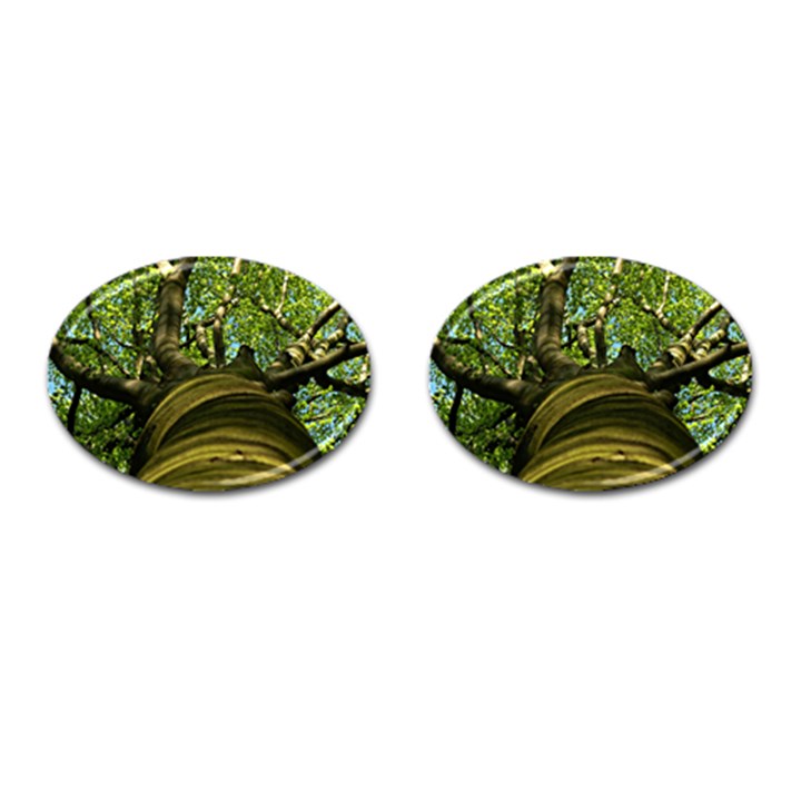 Tree Cufflinks (Oval)