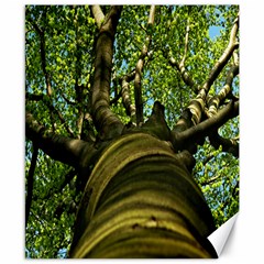 Tree Canvas 8  X 10  (unframed) by Siebenhuehner