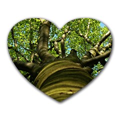 Tree Mouse Pad (heart) by Siebenhuehner