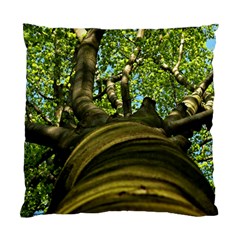 Tree Cushion Case (two Sided)  by Siebenhuehner