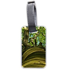 Tree Luggage Tag (two Sides) by Siebenhuehner