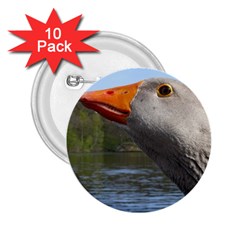 Geese 2 25  Button (10 Pack) by Siebenhuehner