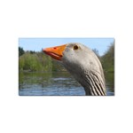 Geese Sticker 10 Pack (Rectangle) Front