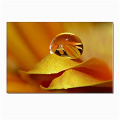 Drops Postcard 4 x 6  (10 Pack) by Siebenhuehner