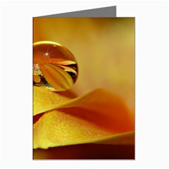 Drops Greeting Card (8 Pack) by Siebenhuehner