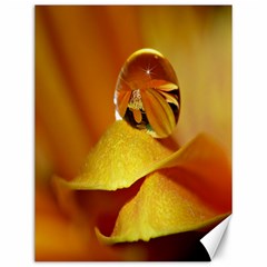 Drops Canvas 12  X 16  (unframed) by Siebenhuehner