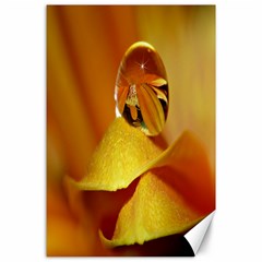 Drops Canvas 24  X 36  (unframed) by Siebenhuehner