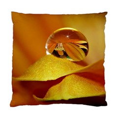 Drops Cushion Case (two Sided)  by Siebenhuehner