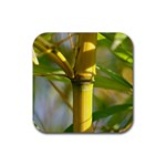 Bamboo Drink Coaster (Square) Front