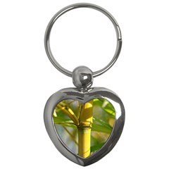 Bamboo Key Chain (heart) by Siebenhuehner