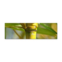 Bamboo Bumper Sticker by Siebenhuehner