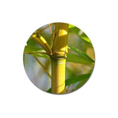 Bamboo Magnet 3  (Round)