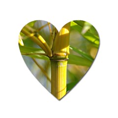 Bamboo Magnet (heart) by Siebenhuehner