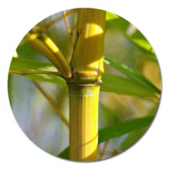 Bamboo Magnet 5  (round) by Siebenhuehner