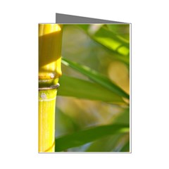 Bamboo Mini Greeting Card (8 Pack) by Siebenhuehner