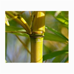 Bamboo Glasses Cloth (small)