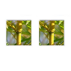 Bamboo Cufflinks (square) by Siebenhuehner