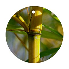 Bamboo Round Ornament (two Sides) by Siebenhuehner