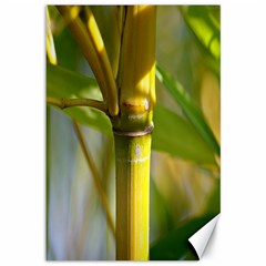 Bamboo Canvas 12  X 18  (unframed) by Siebenhuehner