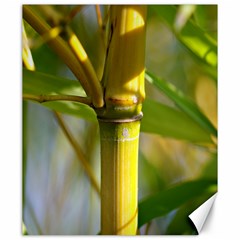 Bamboo Canvas 20  X 24  (unframed) by Siebenhuehner